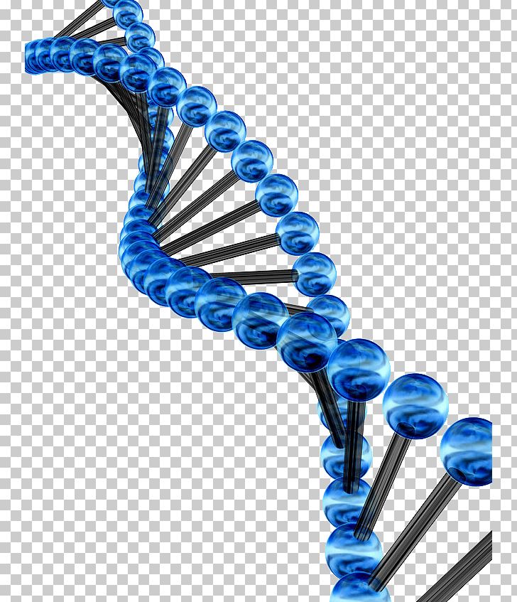 Genetic Code Genetics Three-dimensional Space Photography Illustration PNG, Clipart, 3d Computer Graphics, 3d Modeling, Art, Biology, Dna Free PNG Download
