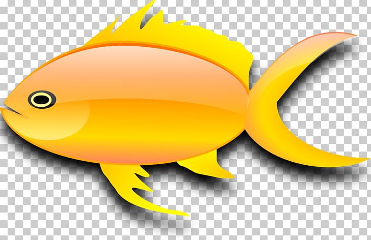 Goldfish PNG, Clipart, Animals, Beak, Computer Icons, Fish, Folksonomy Free PNG Download
