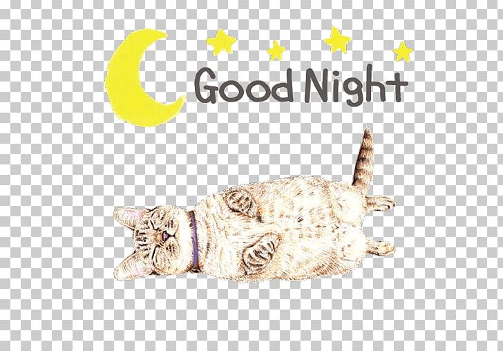 Tabby Cat Kitten Whiskers PNG, Clipart, Animals, Carnivoran, Cat, Cat Like Mammal, Fauna Free PNG Download