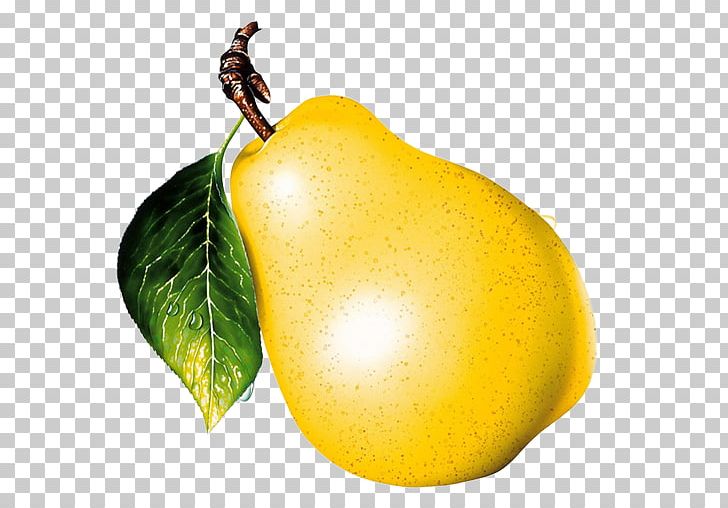 Asian Pear Animaatio Passion Fruit PNG, Clipart, Animaatio, Animation, Apple, Asian Pear, Blog Free PNG Download