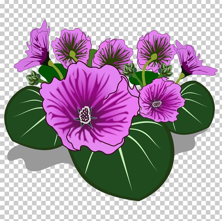 Flower Drawing PNG, Clipart, Annual Plant, Color, Cut Flowers, Digital Image, Drawing Free PNG Download