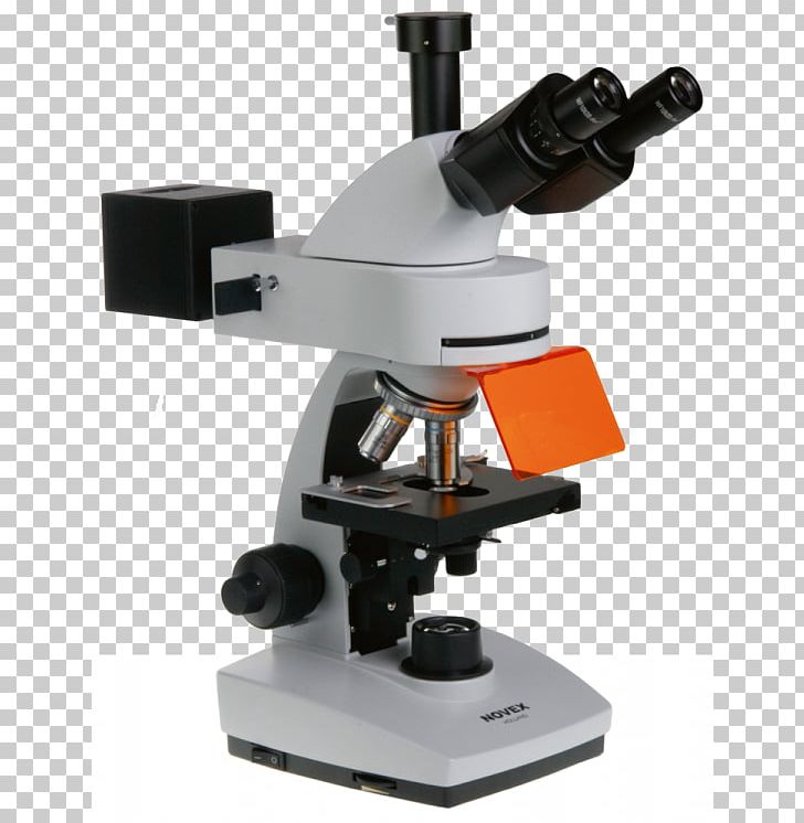 Fluorescence Microscope Eyepiece Microscopy PNG, Clipart, Angle, Biology, Carl Zeiss, Cell, Eyepiece Free PNG Download