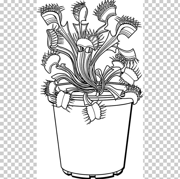 Venus Flytrap Drawing Plant Line Art Trapping PNG, Clipart, Artwork, Black And White, Coloring Book, Cut Flowers, Drawing Free PNG Download