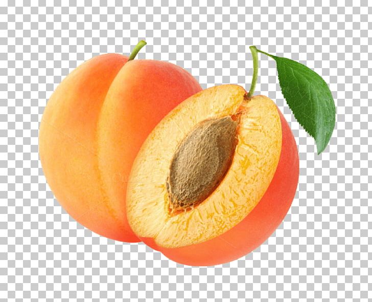 Apricot Portable Network Graphics Transparency Fruit PNG, Clipart, Almond, Amygdalin, Amygdaloideae, Apricot, Apricot Kernel Free PNG Download