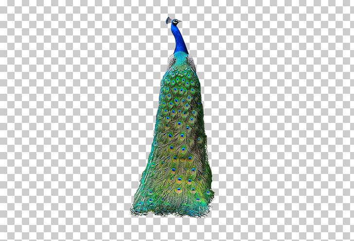 Bird Peafowl PNG, Clipart, Adobe Illustrator, Animals, Asiatic Peafowl, Atmosphere, Background Green Free PNG Download