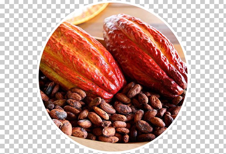Cacao Tree Chocolate Food Cocoa Bean Bitterness PNG, Clipart, Bitterness, Cacau, Chocolate, Cocoa Bean, Commodity Free PNG Download