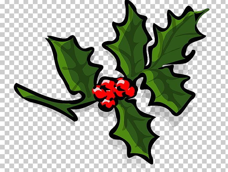 Holly Christmas PNG, Clipart, Aquifoliaceae, Aquifoliales, Artwork, Christmas, Christmas Decoration Free PNG Download