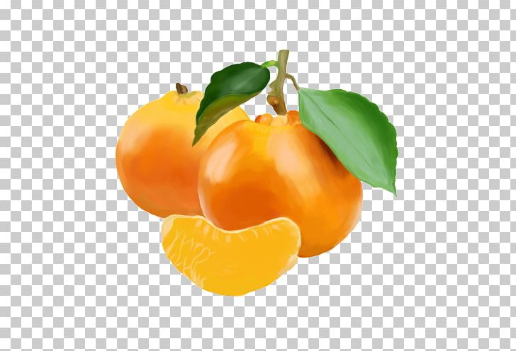 Mandarin Orange Oil Painting PNG, Clipart, Citrus, Color, Food, Fruit, Handpainted Flowers Free PNG Download