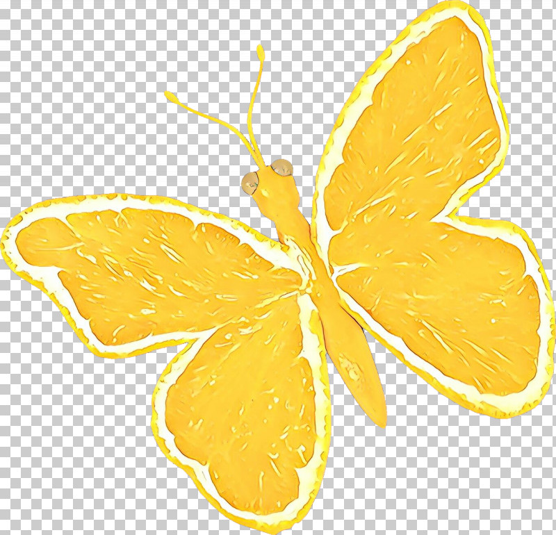 Yellow Butterfly Moths And Butterflies Leaf Pollinator PNG, Clipart, Butterfly, Insect, Leaf, Moths And Butterflies, Plant Free PNG Download