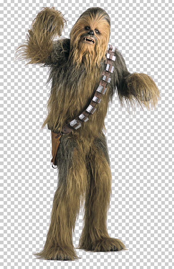 Chewbacca Han Solo Anakin Skywalker YouTube Wookiee PNG, Clipart, Anakin Skywalker, Chewbacca, Fictional Character, Fur, Han Solo Free PNG Download