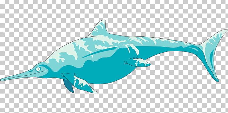 Rough-toothed Dolphin Graphics Ichthyosaur PNG, Clipart, Aqua, Cartilaginous Fish, Dolphin, Download, Electric Blue Free PNG Download