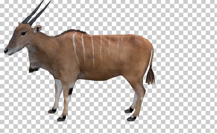 Zebu Waterbuck Ox Horn Terrestrial Animal PNG, Clipart, Animal, Animal Figure, Antelope, Cattle Like Mammal, Cow Goat Family Free PNG Download