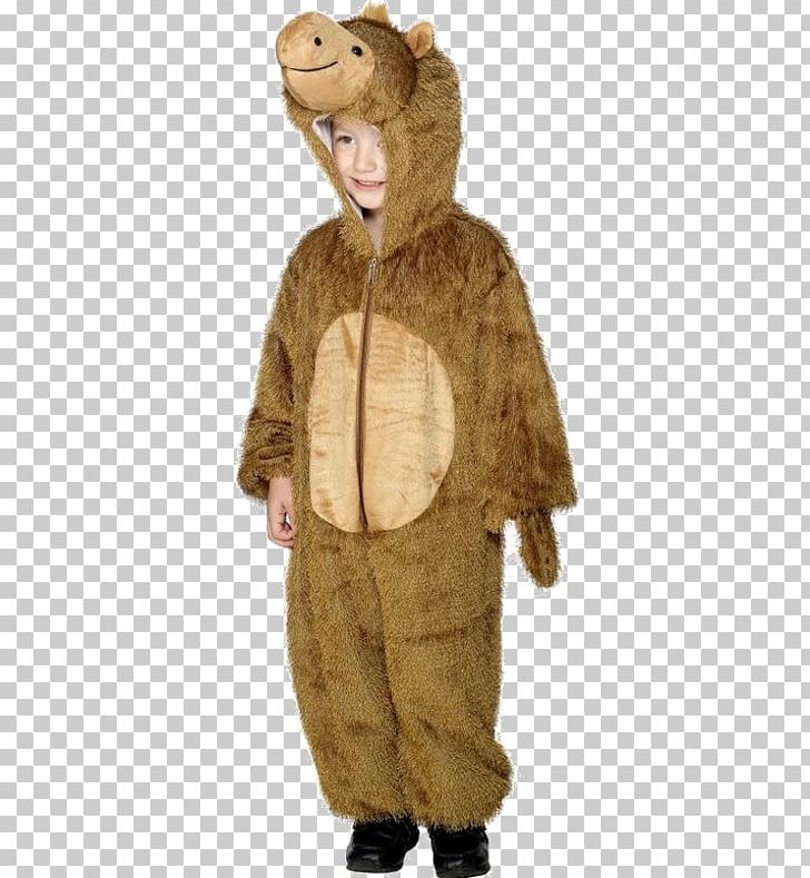 Camel Child Costume Clothing Dress PNG, Clipart, Boy, Camel, Child, Clothing, Costume Free PNG Download