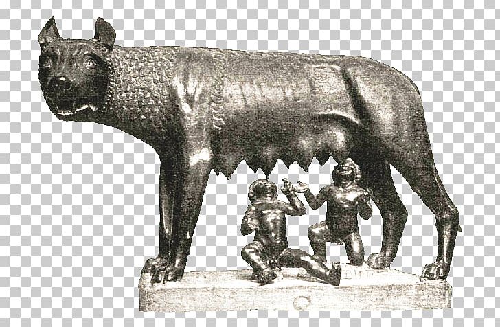 Capitoline Wolf Gray Wolf Capitoline Museums Origo Gentis Romanae Romulus And Remus PNG, Clipart, Ancient Beast, Ancient History, Ancient Rome, Bronze, Capitoline Museums Free PNG Download
