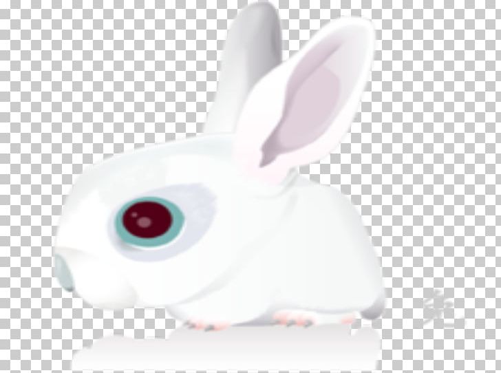 Domestic Rabbit White Rabbit Easter Bunny Leporids PNG, Clipart, Animal, Animals, Bunnies, Bunny, Cute Free PNG Download