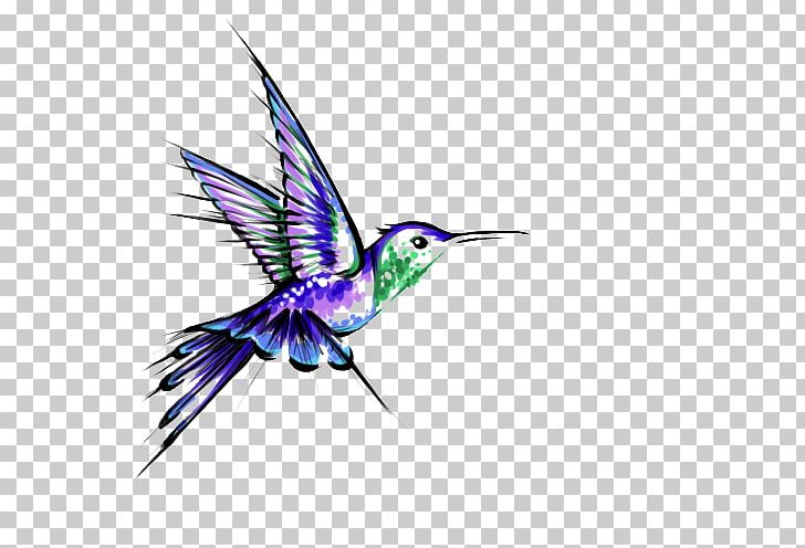 Hummingbird Tattoo Black-and-gray PNG, Clipart, Amor, Animal Birds, Animals, Art, Beak Free PNG Download