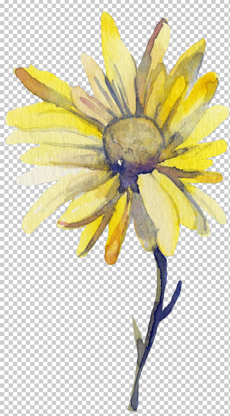 Sunflower PNG, Clipart, Blackeyed Susan, Flower, Petal, Plant, Sunflower Free PNG Download