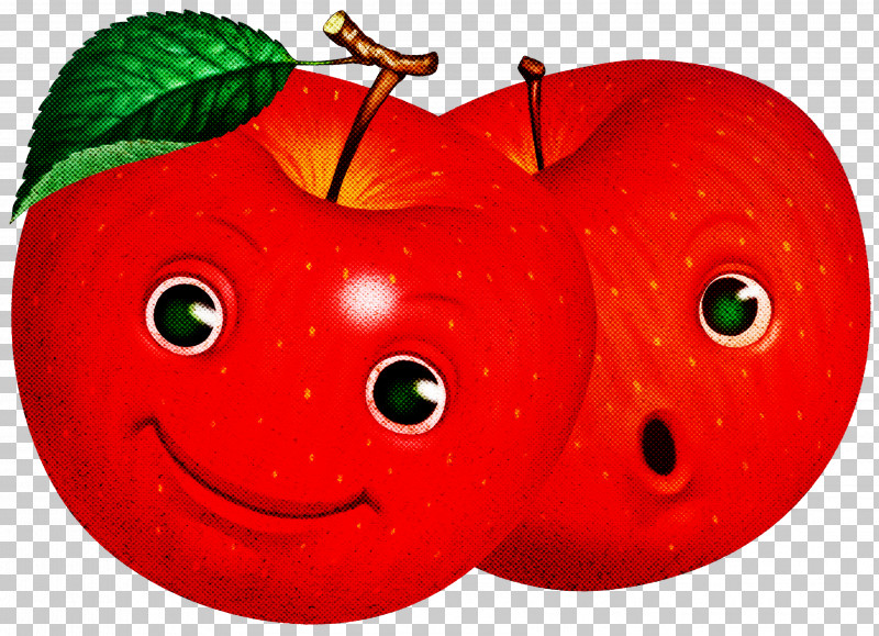 Tomato PNG, Clipart, Apple, Mandarin Orange, Orange, Pupil, School Free PNG Download