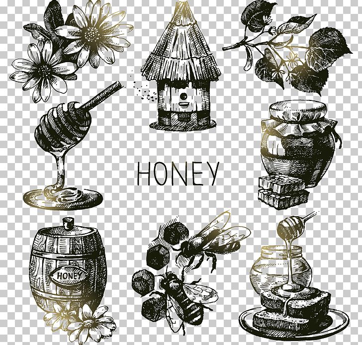 Bee Honey Drawing Illustration PNG, Clipart, Bee, Bees Vector, Brass, Flowers, Food Drinks Free PNG Download
