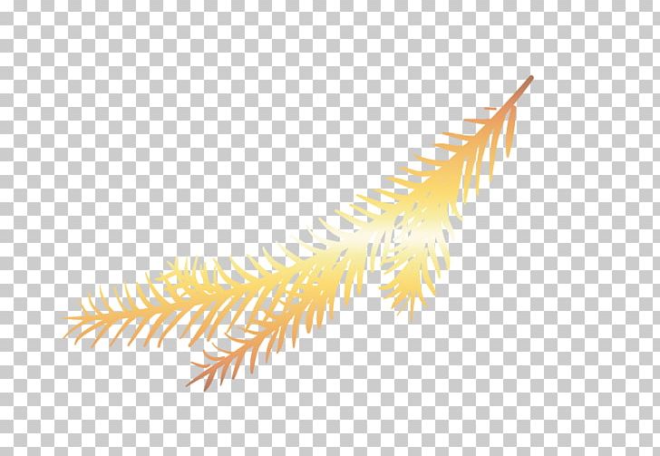 Feather Gradient Euclidean PNG, Clipart, Angle, Animals, Color, Color Gradient, Encapsulated Postscript Free PNG Download