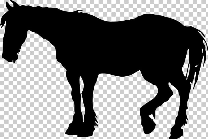 Horse Foal Mare Colt PNG, Clipart, Animals, Art, Black, Black And White, Bridle Free PNG Download