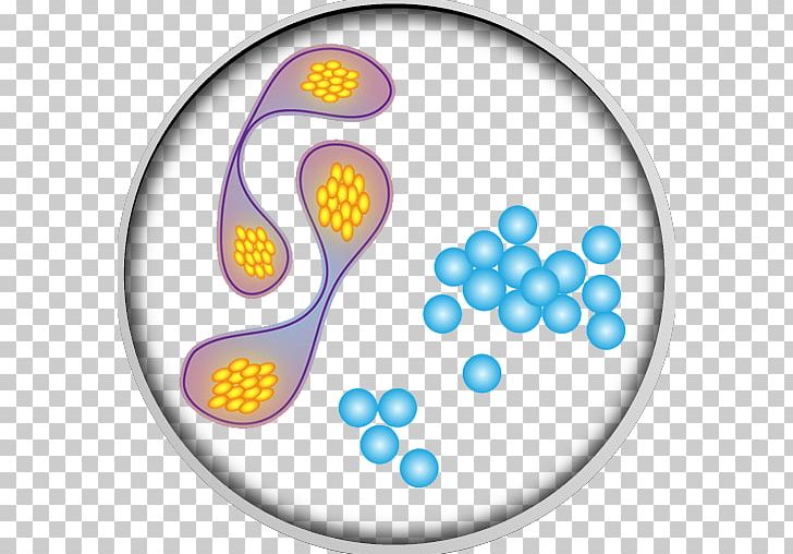 Product Design Organism PNG, Clipart, Art, Bacteria, Circle, Donate, Line Free PNG Download