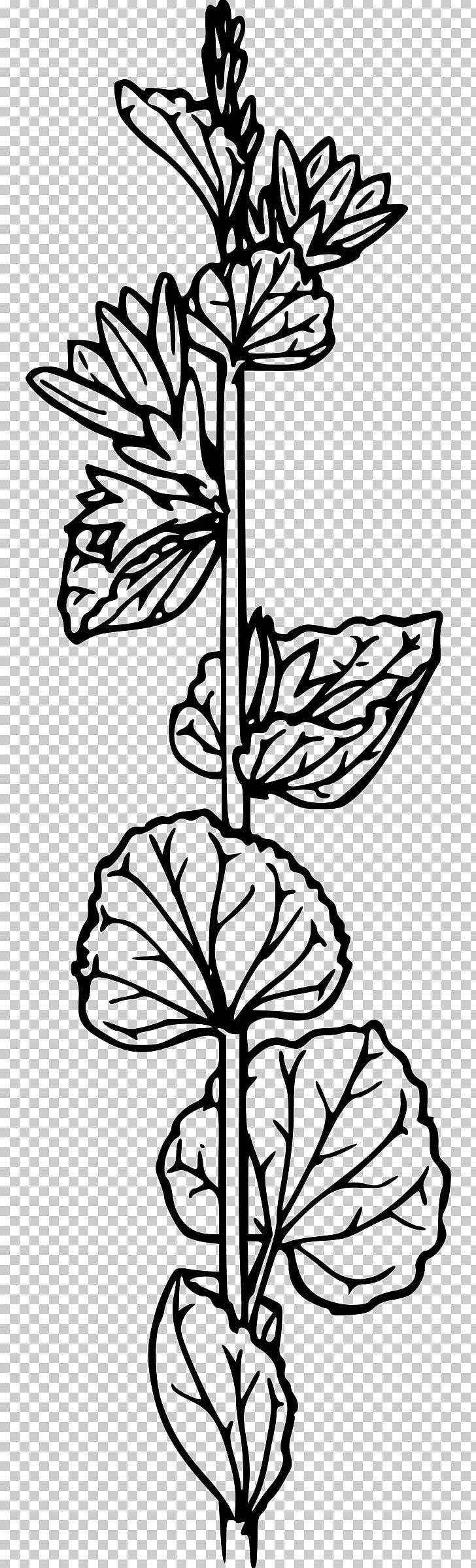 Flower PNG, Clipart, Art, Black And White, Branch, Computer Icons, Flora Free PNG Download
