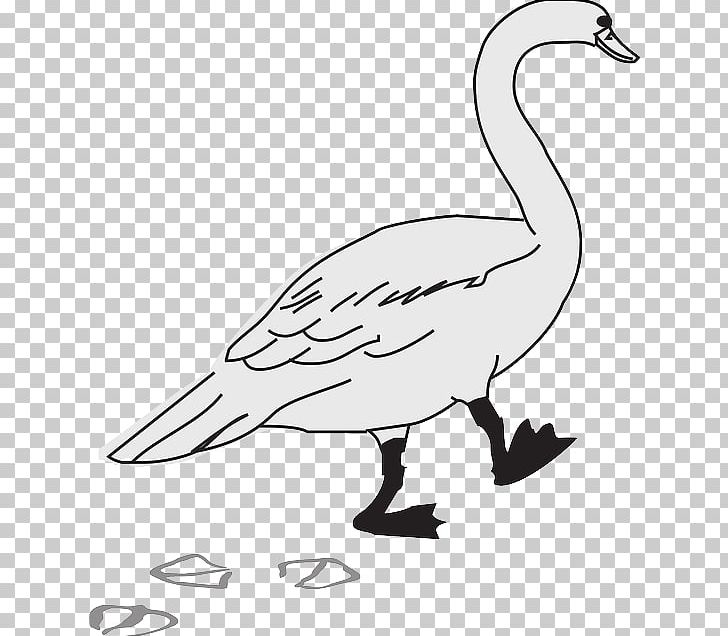 Goose Duck Bird PNG, Clipart, Animals, Animal Track, Anseriformes, Artwork, Beak Free PNG Download