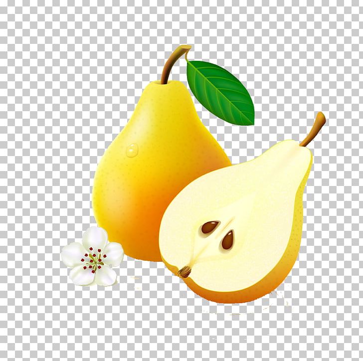 Pyrus Nivalis Pyrus Xd7 Bretschneideri Asian Pear Auglis Cartoon PNG, Clipart, 3d Animation, Animation, Anime Character, Anime Eyes, Asian Pear Free PNG Download