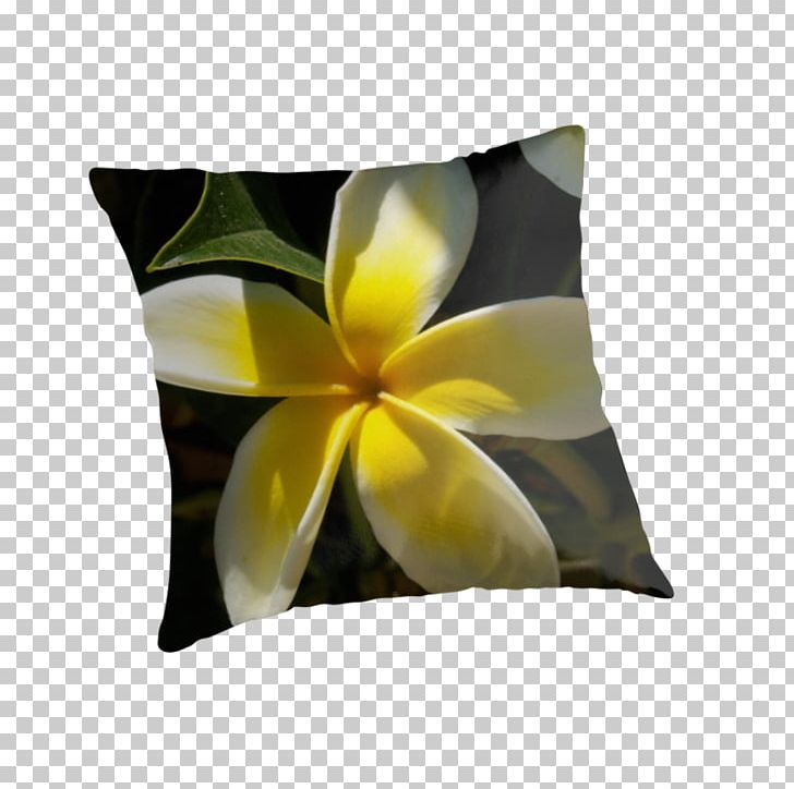 Throw Pillows Cushion Flower Petal PNG, Clipart, Cushion, Flower, Nature, Petal, Pillow Free PNG Download