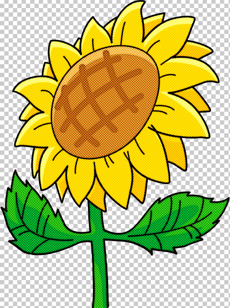 Sunflower Summer Flower PNG, Clipart, College, Common Sunflower, Cut Flowers, Education, Floral Design Free PNG Download