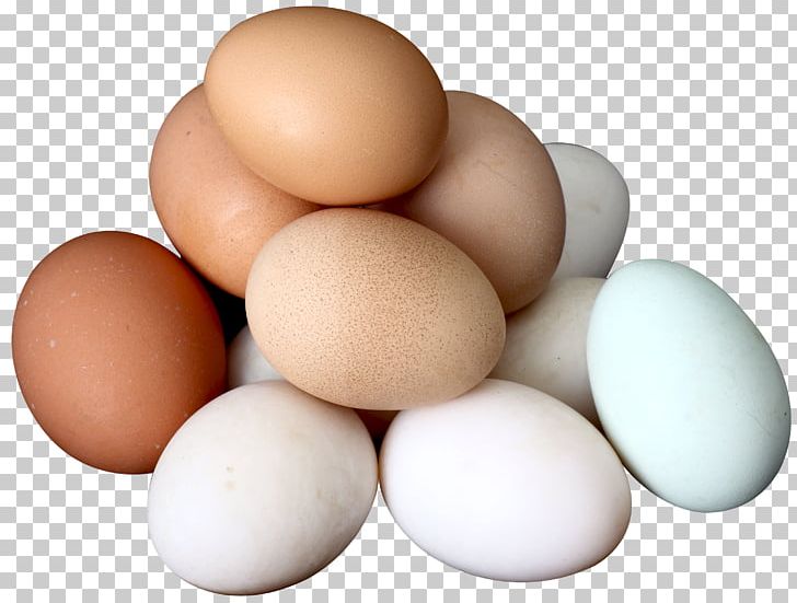 Chicken Egg White Yolk Boiled Egg PNG, Clipart, Boiled Egg, Century Egg, Chicken, Chicken Egg, Cooking Free PNG Download