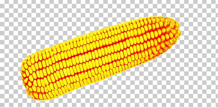 Corn On The Cob Maize Icon PNG, Clipart, Autumn, Autumn Harvest, Cartoon Corn, Commodity, Corn Free PNG Download