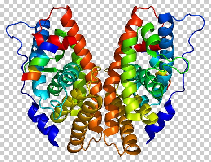 Estrogen-related Receptor Gamma Estrogen Receptor Bisphenol A PNG, Clipart, Bead, Bisphenol A, Body Jewelry, Chemical Structure, Diethylstilbestrol Free PNG Download