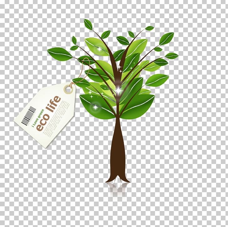 Green Modern Plant Decoration PNG, Clipart, Advertising, Bangsumaen, Branch, Business, Commodity Free PNG Download