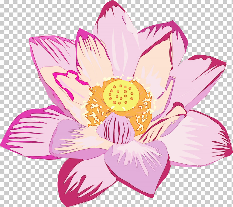 Floral Design PNG, Clipart, Aquatic Plant, Cut Flowers, Floral Design, Flower, Lily Free PNG Download