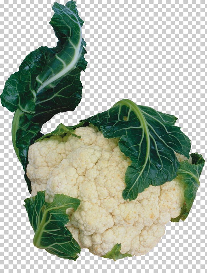 Cauliflower Vegetarian Cuisine Red Cabbage Vegetable Spring Greens PNG, Clipart, Cartoon Cauliflower, Cauliflower, Cauliflower Frozen, Cauliflower Jellyfish, Drawn Cauliflower Free PNG Download