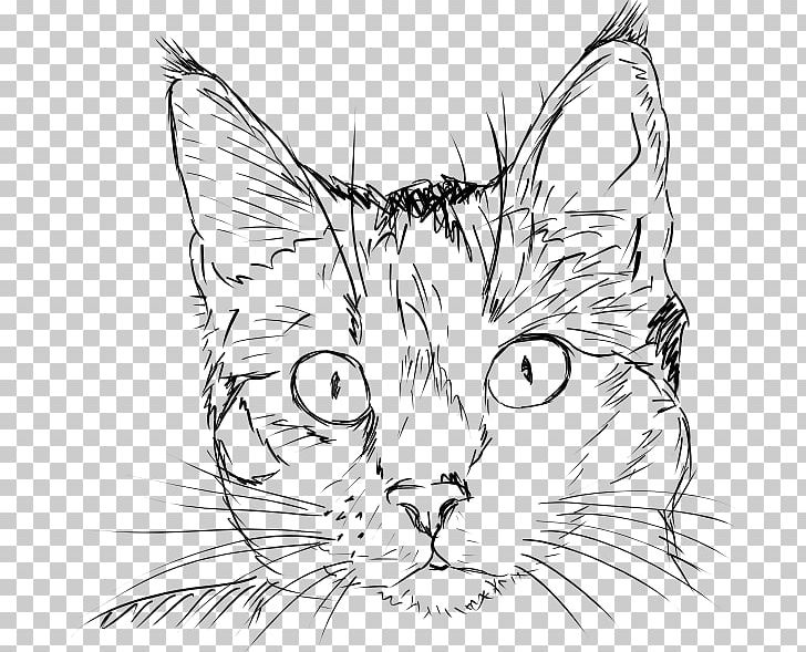 Draw Cats Drawing Kitten Sketch PNG, Clipart, Animals, Artwork, Black And White, Carnivoran, Cartoon Free PNG Download