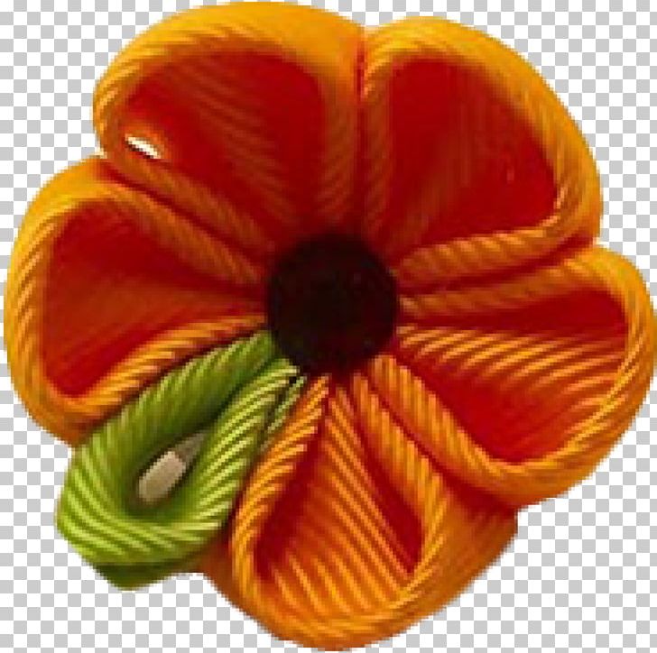 Petal Cut Flowers PNG, Clipart, Cut Flowers, Flower, Orange, Others, Petal Free PNG Download