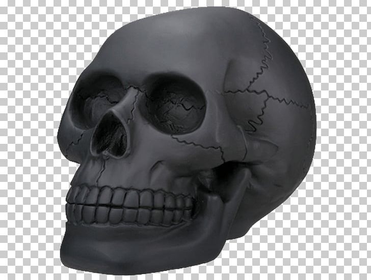 Skull Skeleton Head Collectable Bone PNG, Clipart, Art, Bone, Collectable, Fantasy, Figurine Free PNG Download