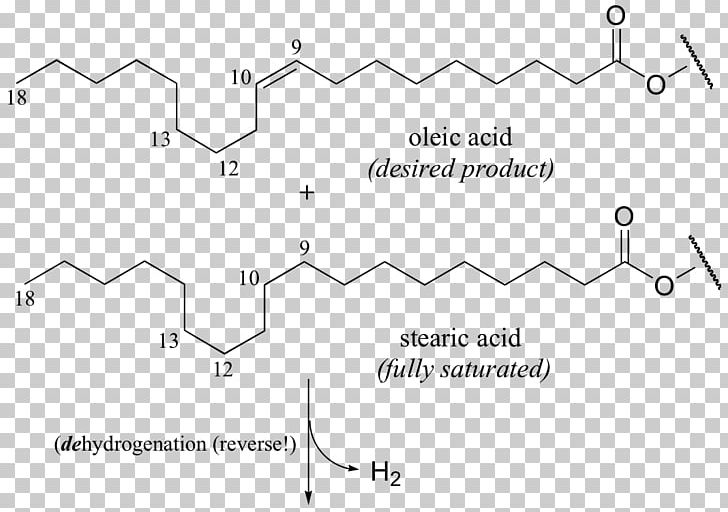 Linoleic Acid Hydrogenation Alpha-Linolenic Acid PNG, Clipart, Acid, Alphalinolenic Acid, Amino Acid, Angle, Area Free PNG Download