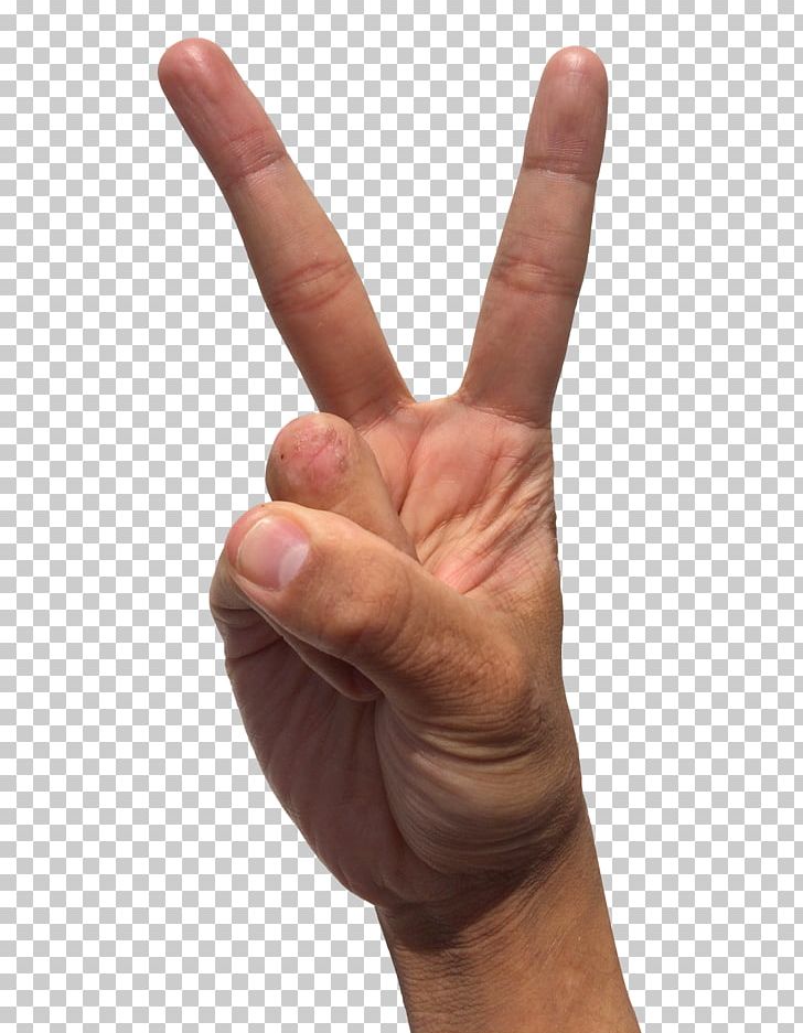 Thumb Hand Model PNG, Clipart, Arm, Asento, Download, Finger, Gesture Free PNG Download