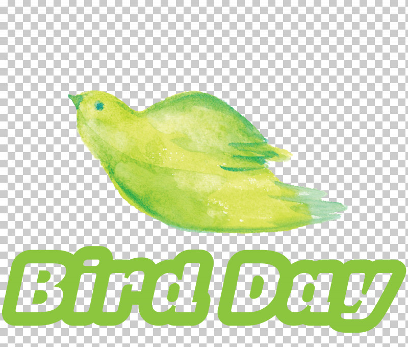 Bird Day Happy Bird Day International Bird Day PNG, Clipart, Beak, Biology, Bird Day, Birds, Green Free PNG Download