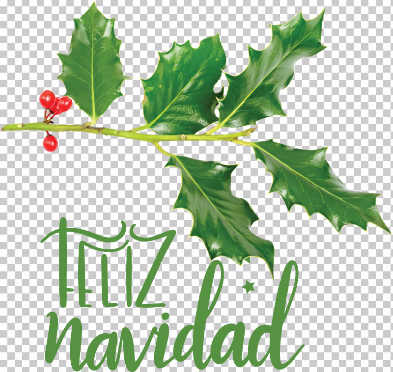 Feliz Navidad Merry Christmas PNG, Clipart, Bay Laurel, Branch, Christmas Day, Feliz Navidad, Holly Free PNG Download