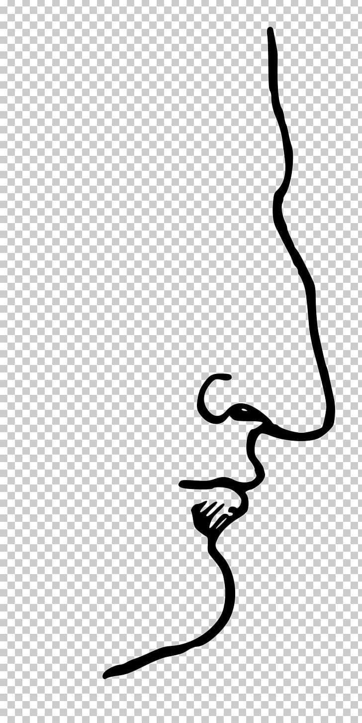 Aquiline Nose Human Nose Eagle Breathing PNG, Clipart, Aquiline Nose, Area, Artwork, Beak, Black Free PNG Download