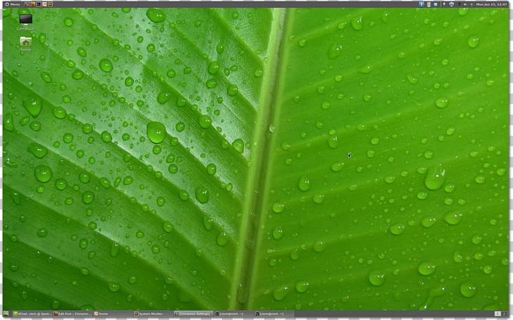 Desktop Leaf Green 1080p High-definition Television PNG, Clipart, 4k Resolution, 1080p, Color, Desktop Wallpaper, Dew Free PNG Download