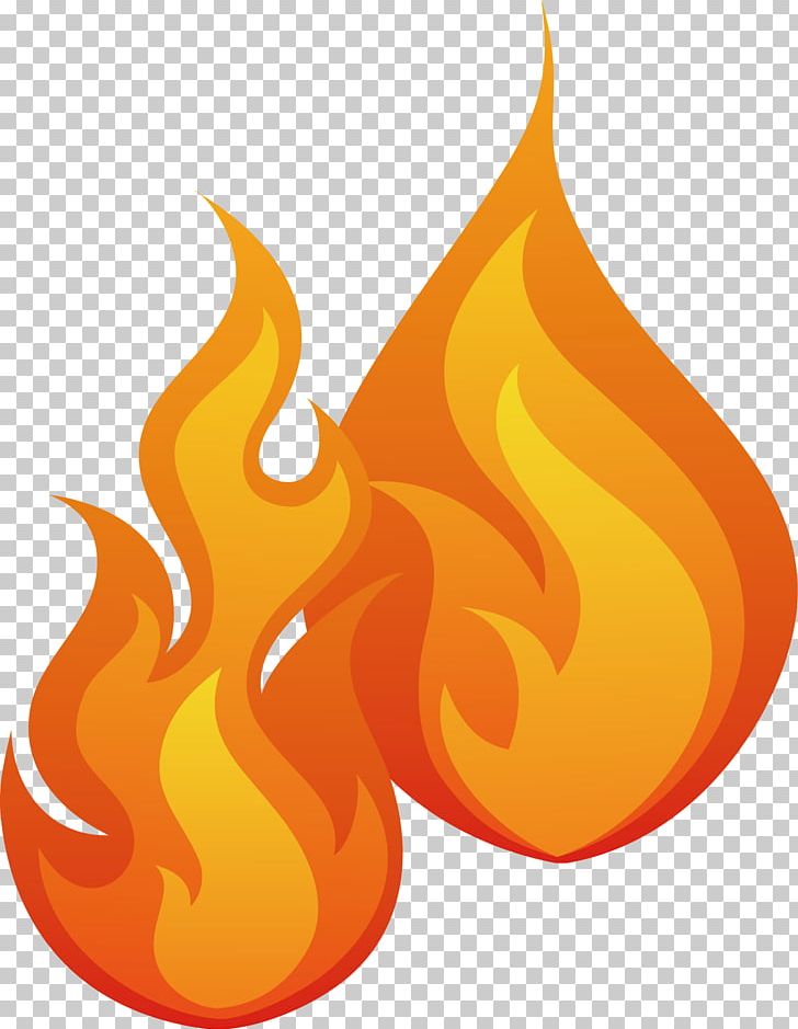 Flame Combustion Fire PNG, Clipart, Blue Flame, Burn, Burning, Burning Fire, Burning It Youth Free PNG Download