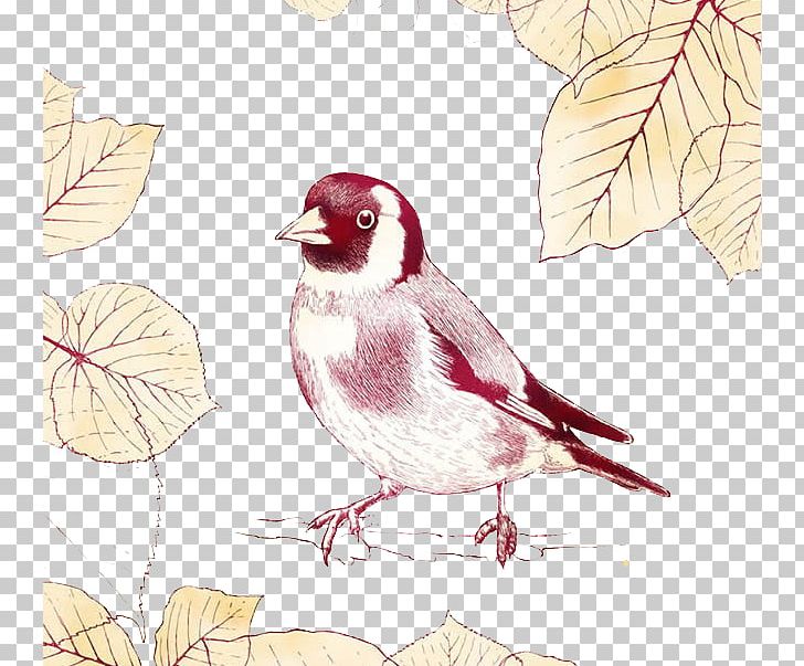 Sparrow Bird PNG, Clipart, Animals, Art, Autumn, Beak, Bird Free PNG Download
