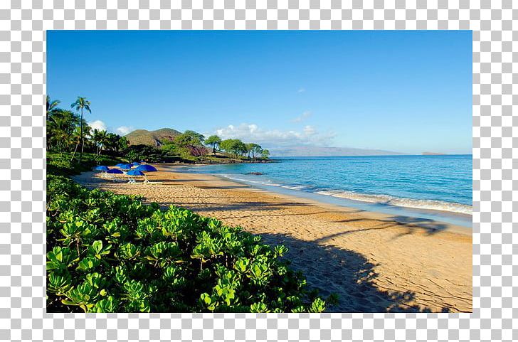 Caribbean Sea Water Resources Beach Coast PNG, Clipart, Bay, Beach, Caribbean, Coast, Coastal And Oceanic Landforms Free PNG Download