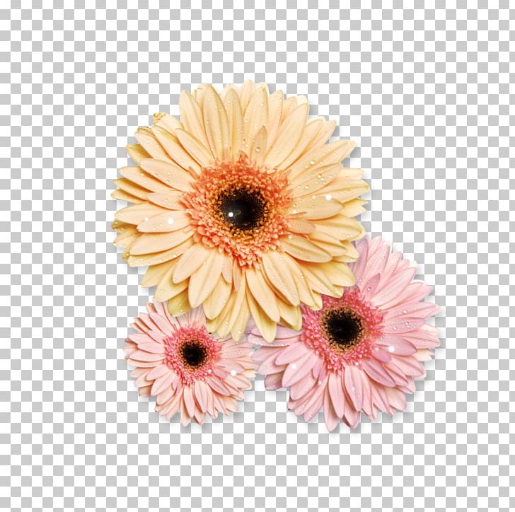 Desktop Art Flower PNG, Clipart, Art, Artificial Flower, Asterales, Chrysanths, Croquis Free PNG Download